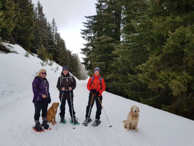 120750bd-49e0-4fa4-bd10-41caa8763c19