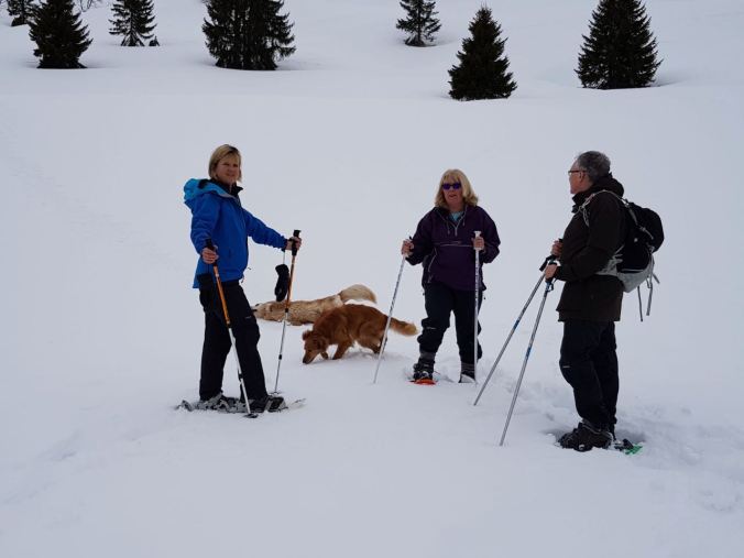 2a2691fb-1897-47a9-82ab-d28ac8653808