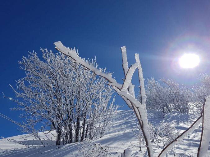 721ea895-f533-4762-bf3b-eb5b0cbcee40